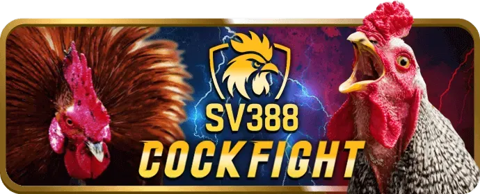 Quảng bá 88org
